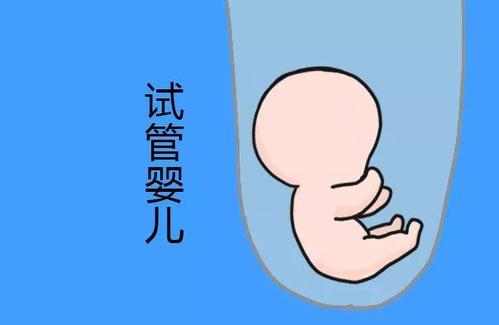 胚胎操作